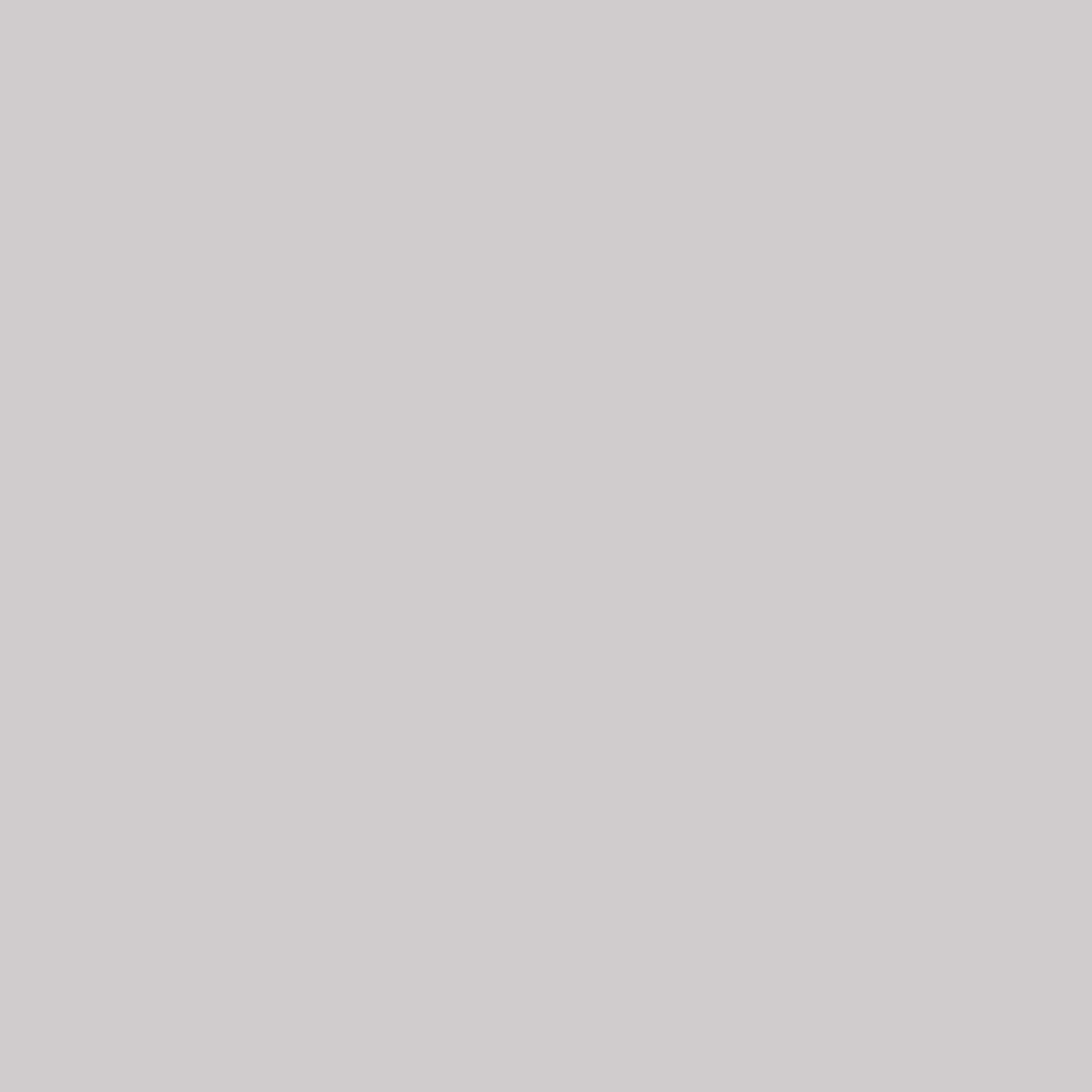 0333 Kalkfarbe - Farbton Calce Argilla Paint - 333