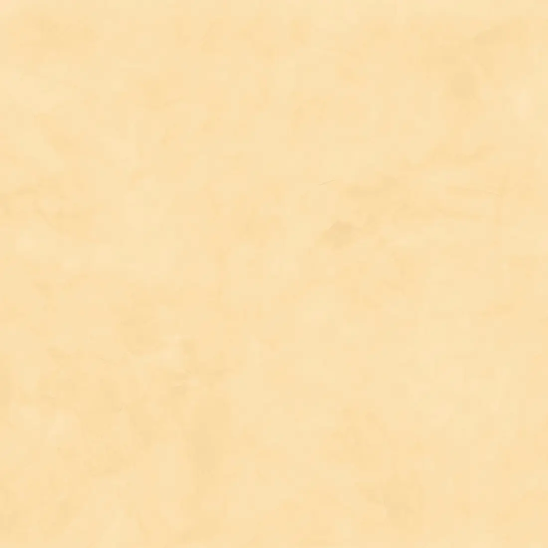 206