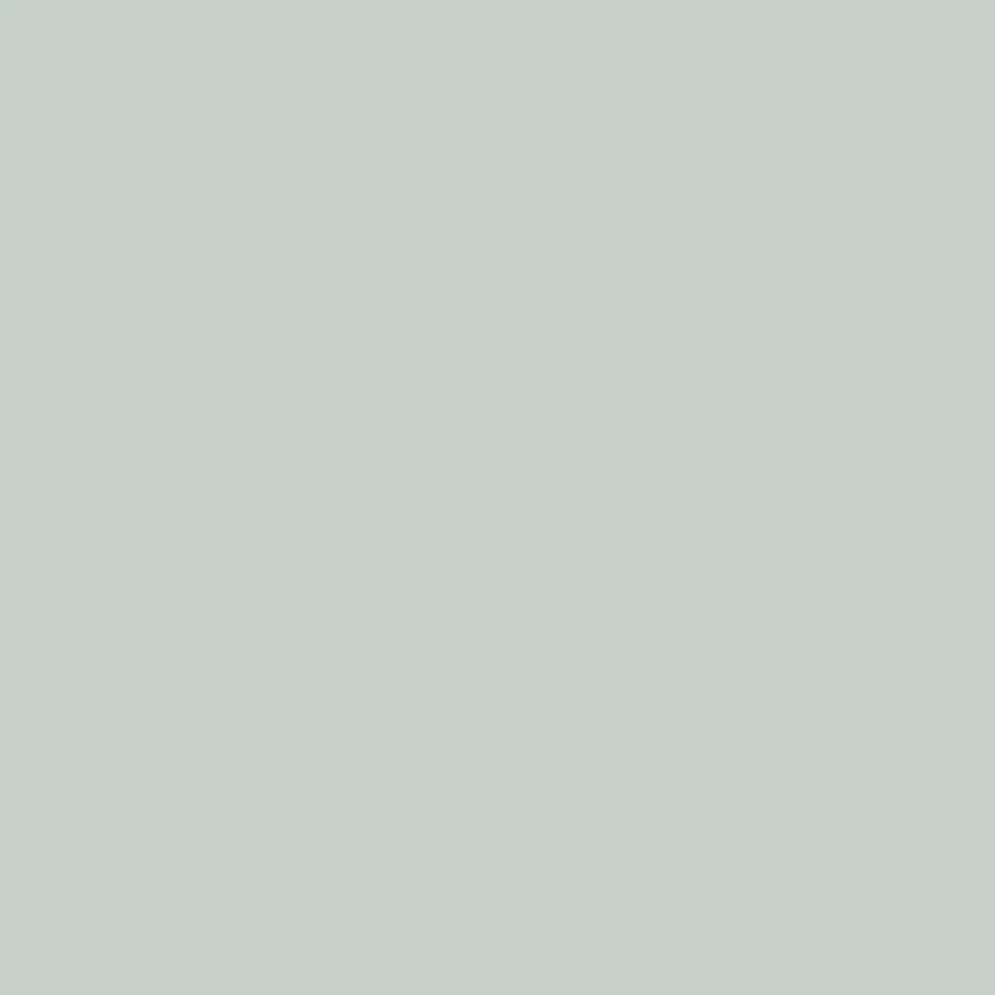 0683 Kalkfarbe - Farbton Calce Argilla Paint - 683