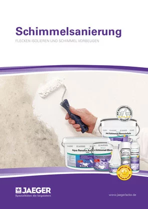 Prospekt Schimmelsanierung 