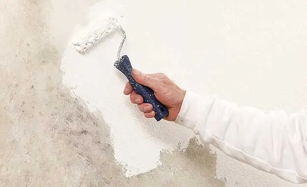 Anti Schimmel Farbe wird auf eine Wand gestrichen, die mit Schimmelflecken übersät ist 