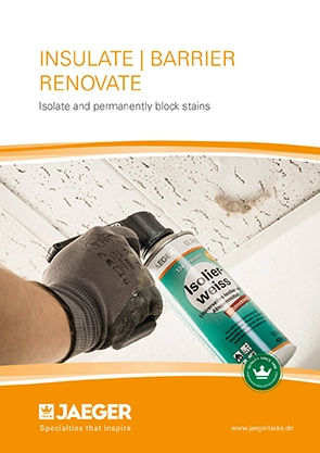 Insulating and renovation paints 