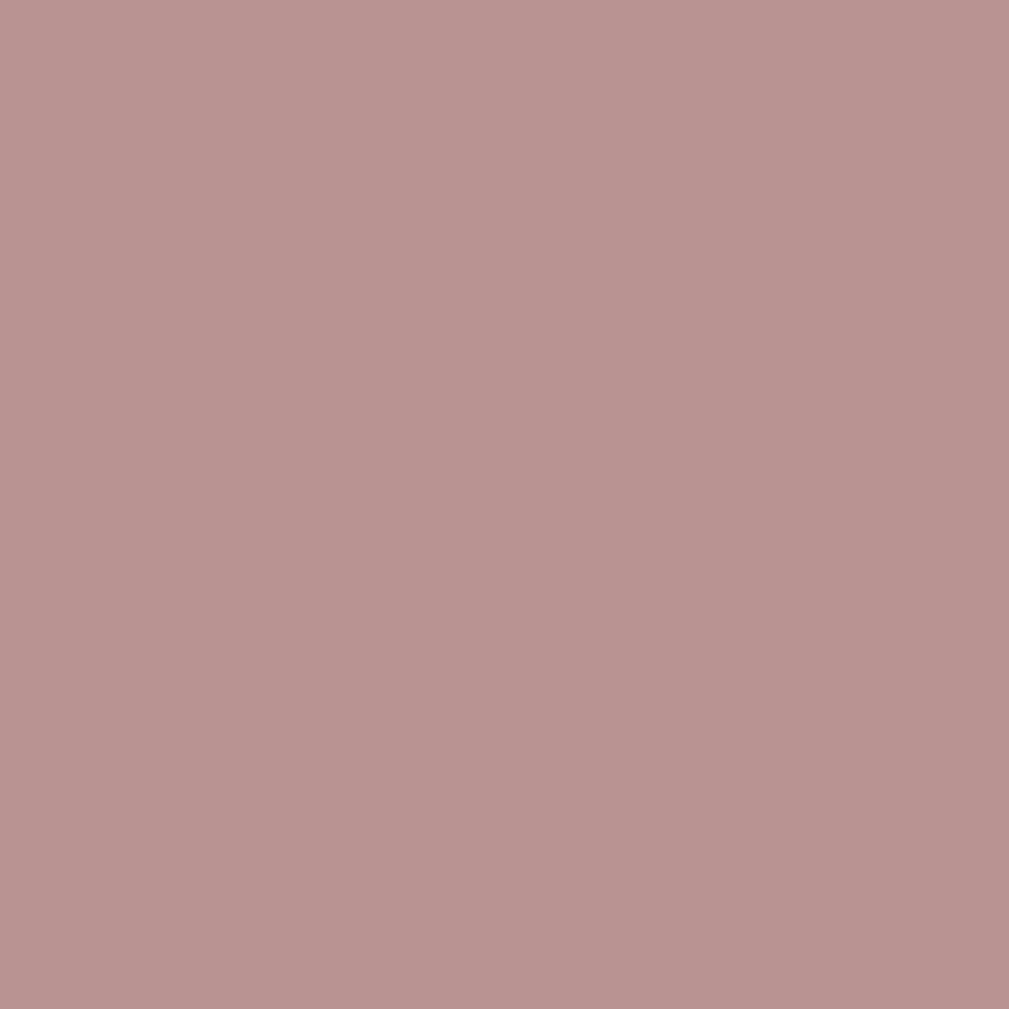 0433 Kalkfarbe - Farbton Calce Argilla Paint - 433