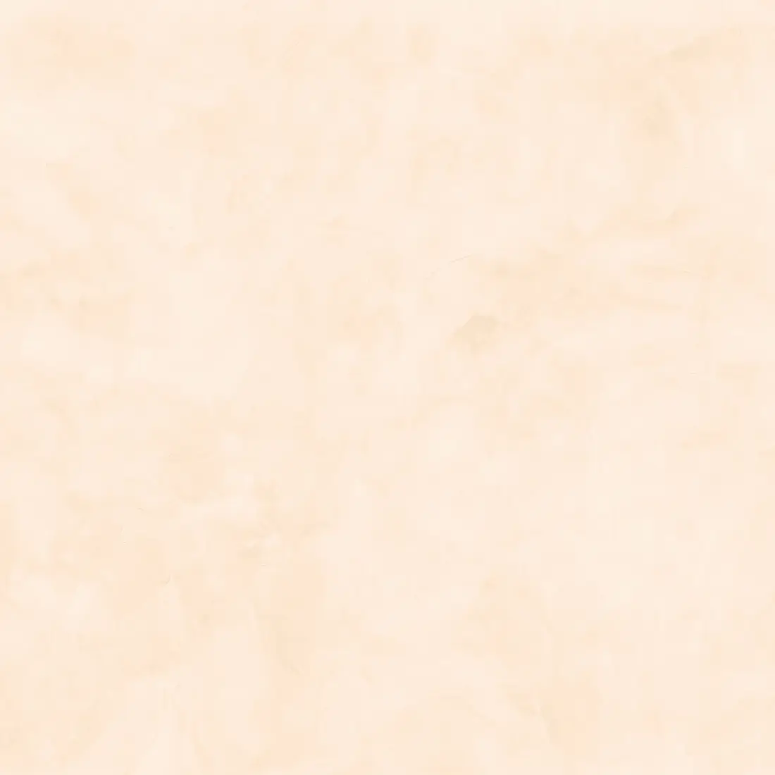 223